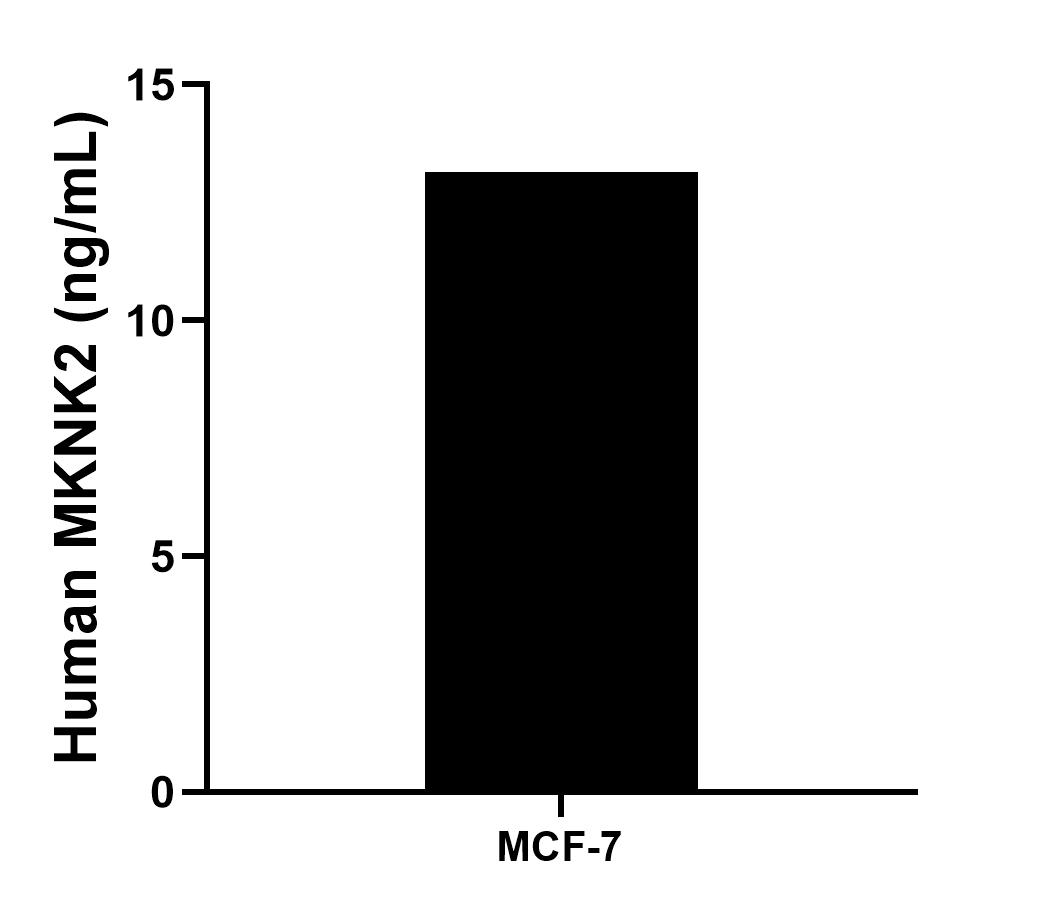 Sample test of MP00216-4